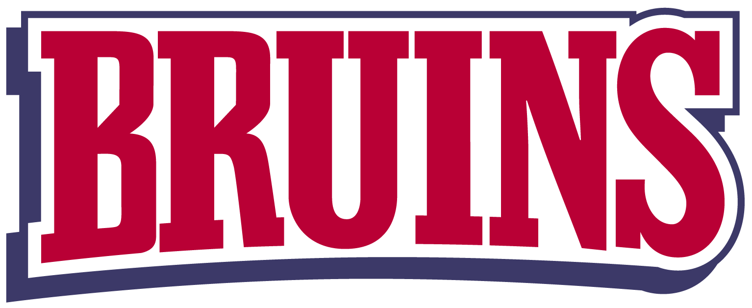 Belmont Bruins 2003-Pres Wordmark Logo v2 diy iron on heat transfer